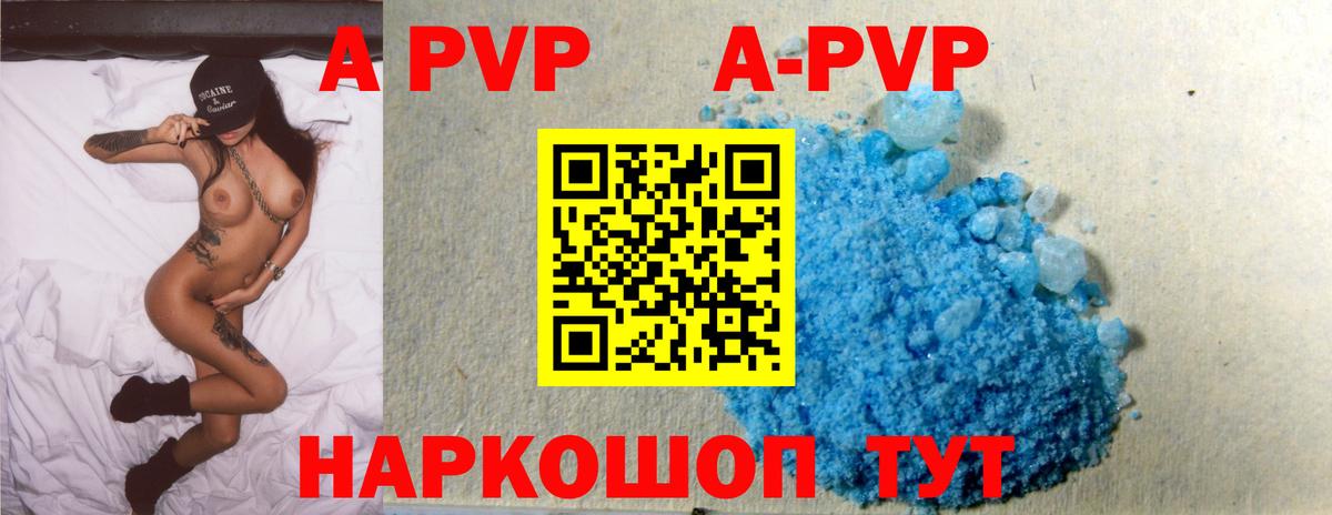 A-PVP СК КРИС Сосновый Бор