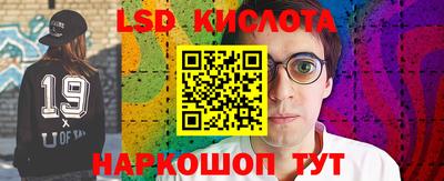 эйфоретик Кимры