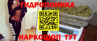 эйфоретик Кимры