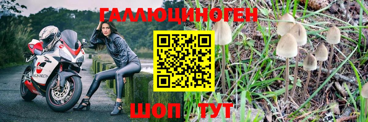 Псилоцибиновые грибы мухоморы  Вход с VPN  Сосновый Бор  Псилоцибиновые грибы ЛСД 